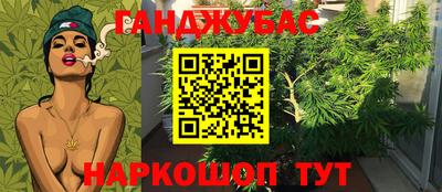стаф Малоярославец