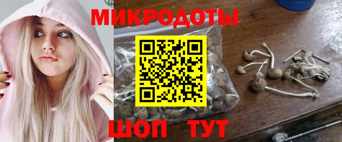 Губаха  как найти наркотики  Вход с VPN  Галлюциногенные грибы мухоморы 